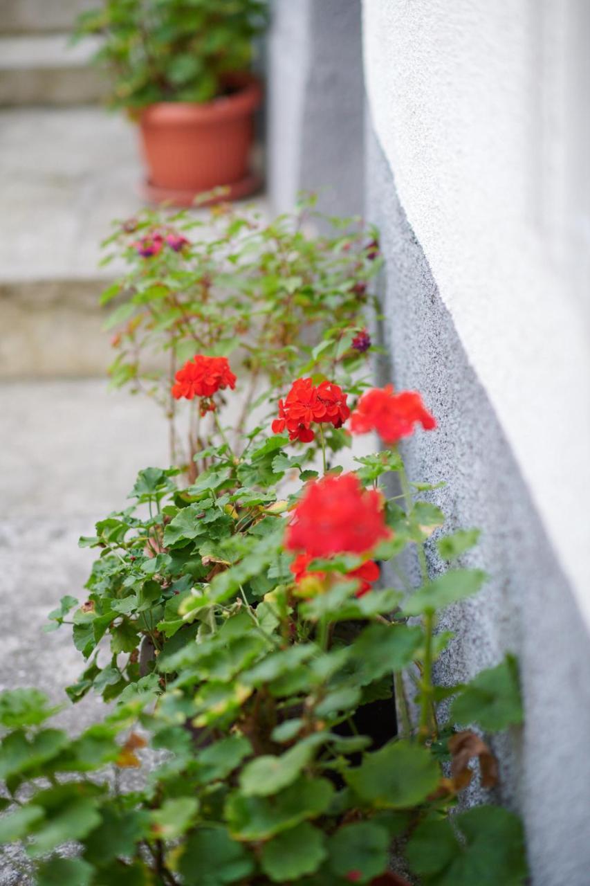 Lovely House Apartment SJJ Esterno foto