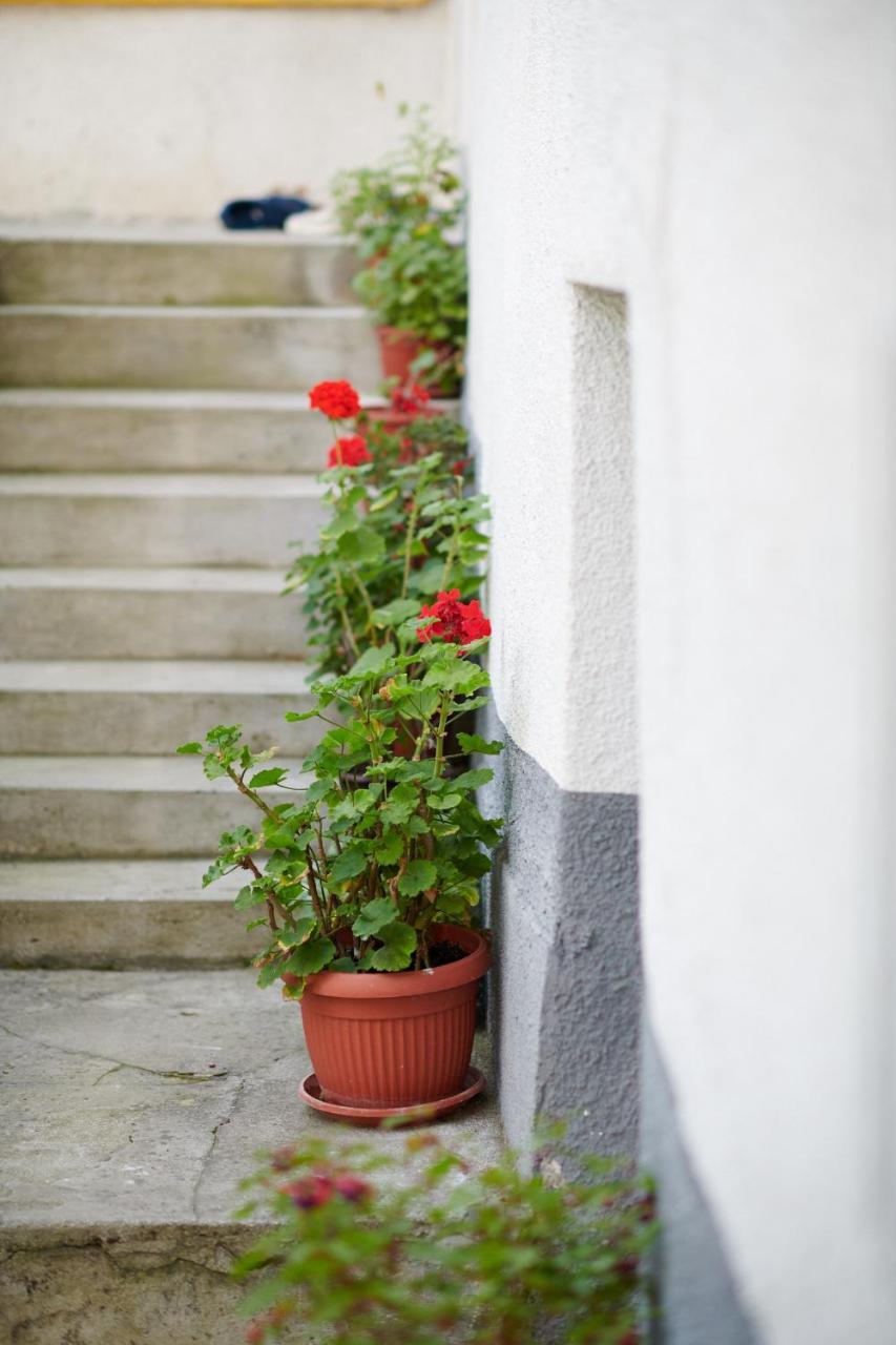 Lovely House Apartment SJJ Esterno foto